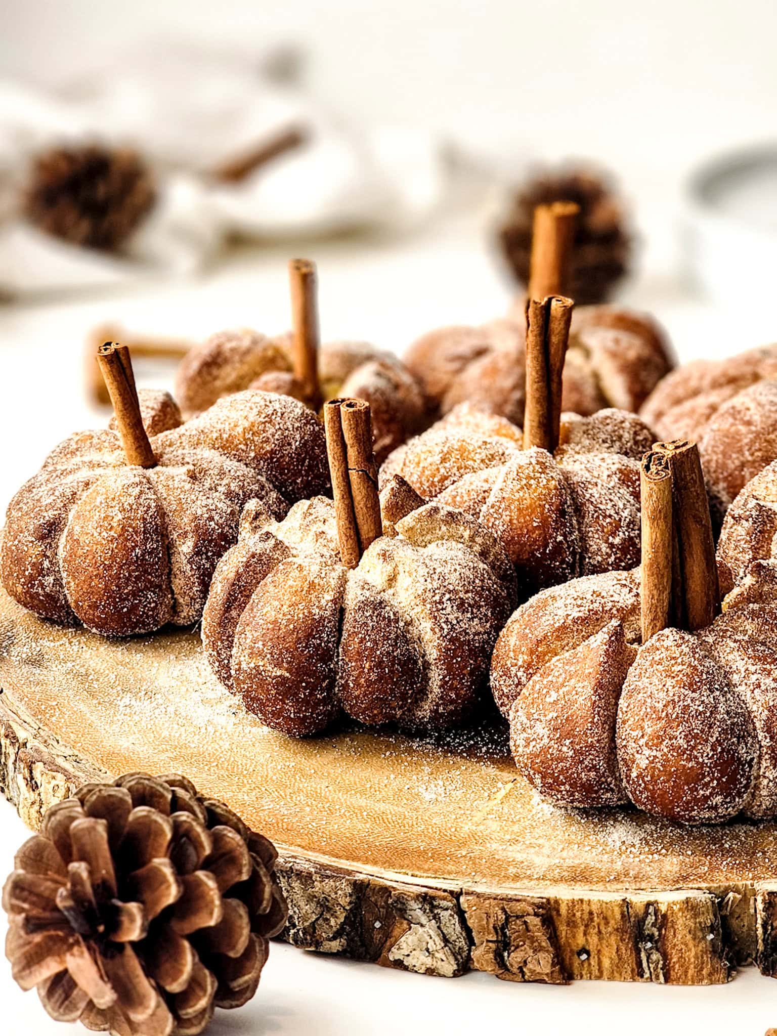 Autumn’s Best Pumpkin Donuts