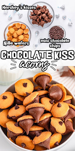 chocolate kiss acorn