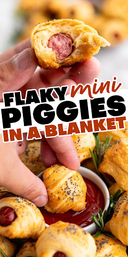 mini piggies in a blanket