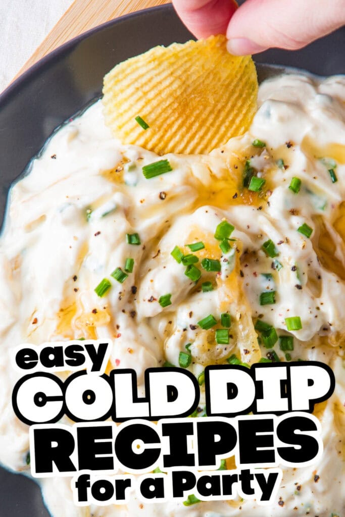 cold dips - french onion dip