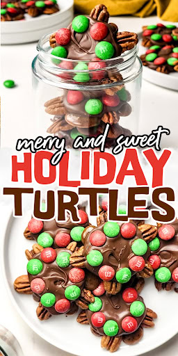 holiday turtles