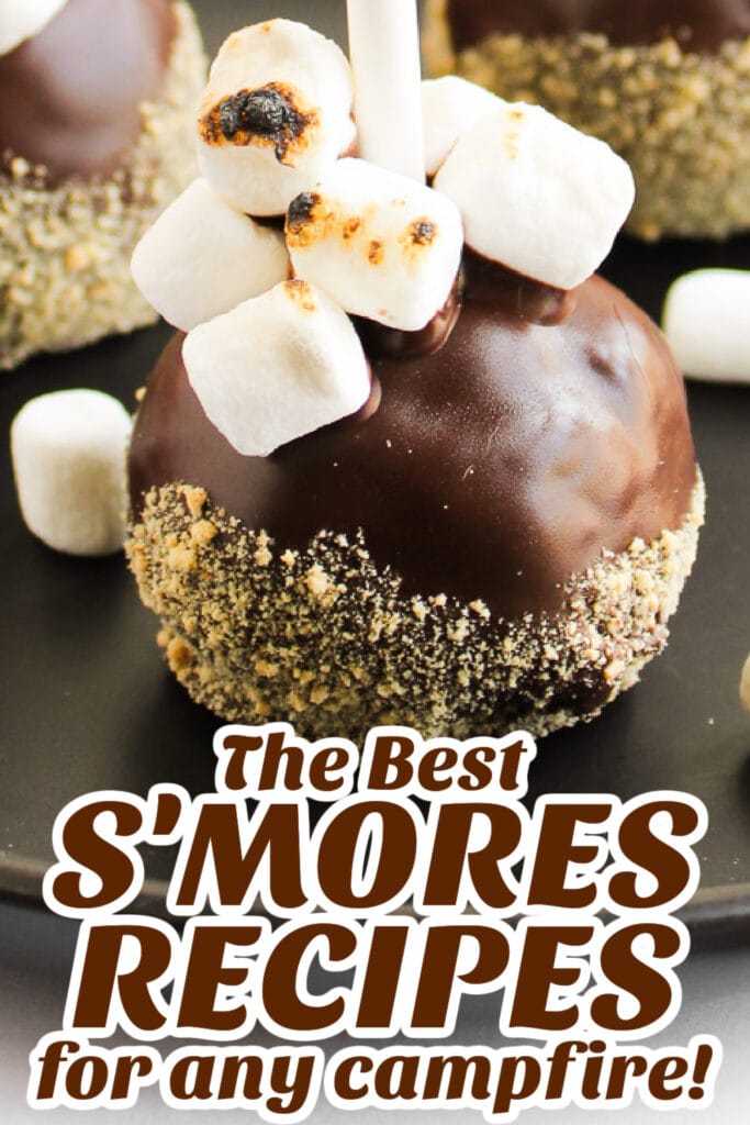 s'mores recipes - S'mores Cake Pops copy