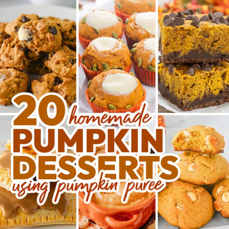 Homemade Pumpkin Desserts: 20 Recipes Using Pumpkin Puree