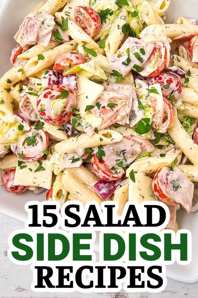 salad side dish - Italian Hoagie Pasta Salad copy