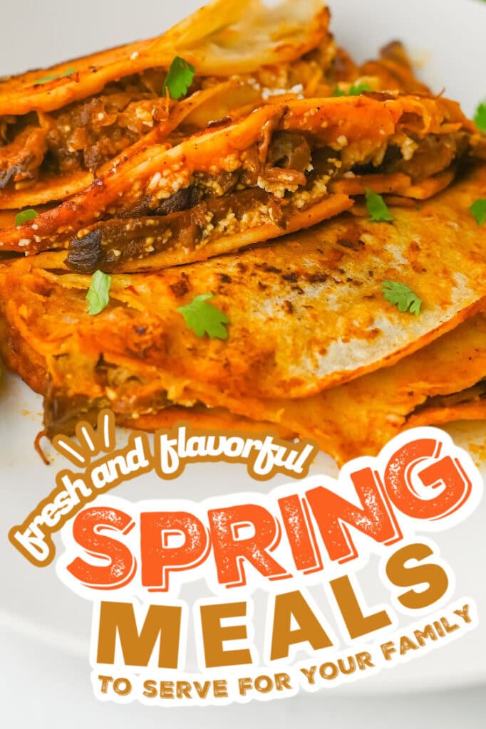 spring meals - Crockpot Birria Tacos