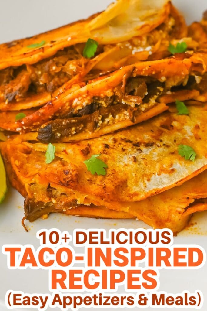 taco inspired recipes - Crockpot Birria Tacos