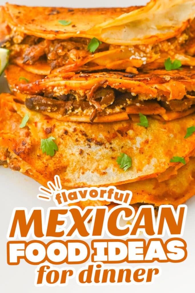mexican food recipes - Crockpot Birria Tacos