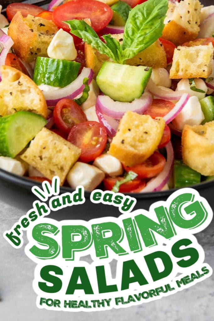 spring salads - Classic Panzanella with Mozzarella