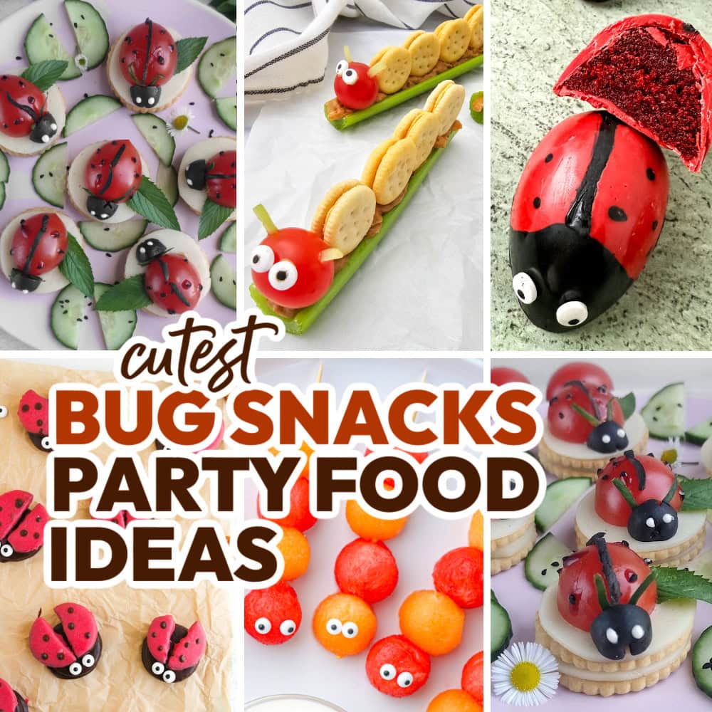 bug snacks party food ideas featured image