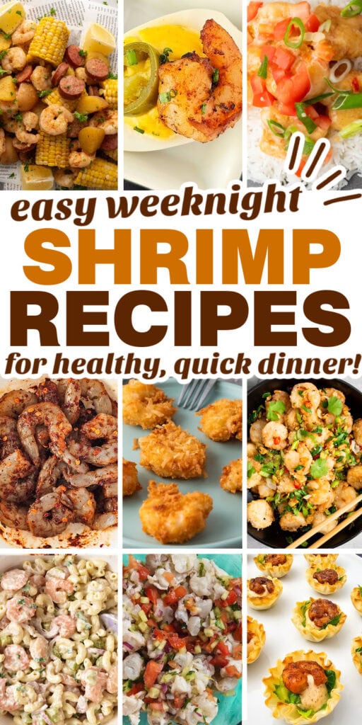 shrimp recipes