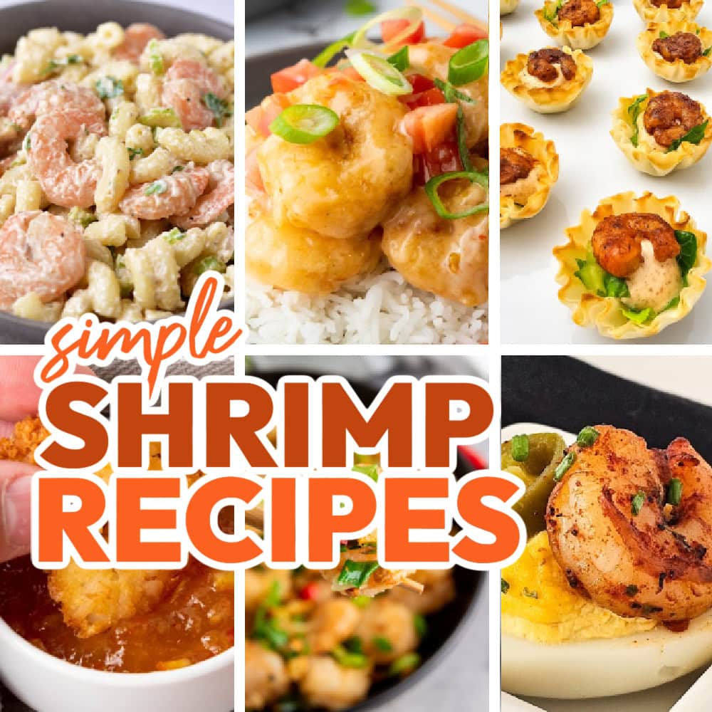 shrimp recipes featured image