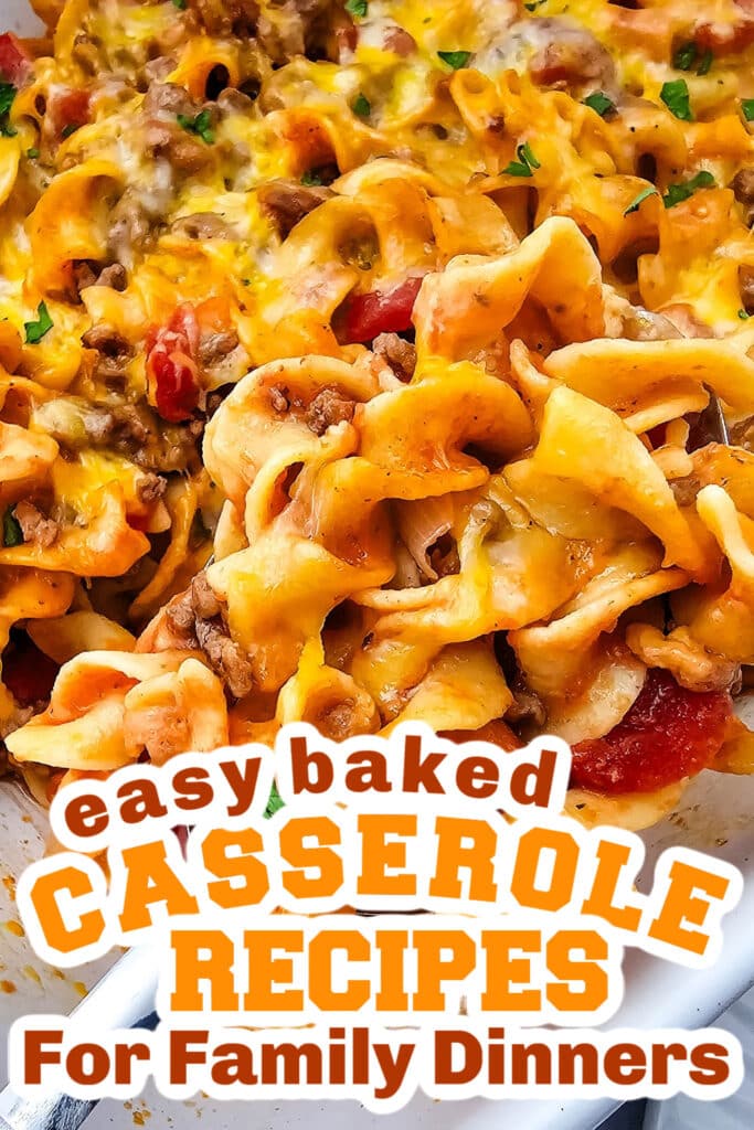 Casserole Recipes - Beef Noodle Casserole