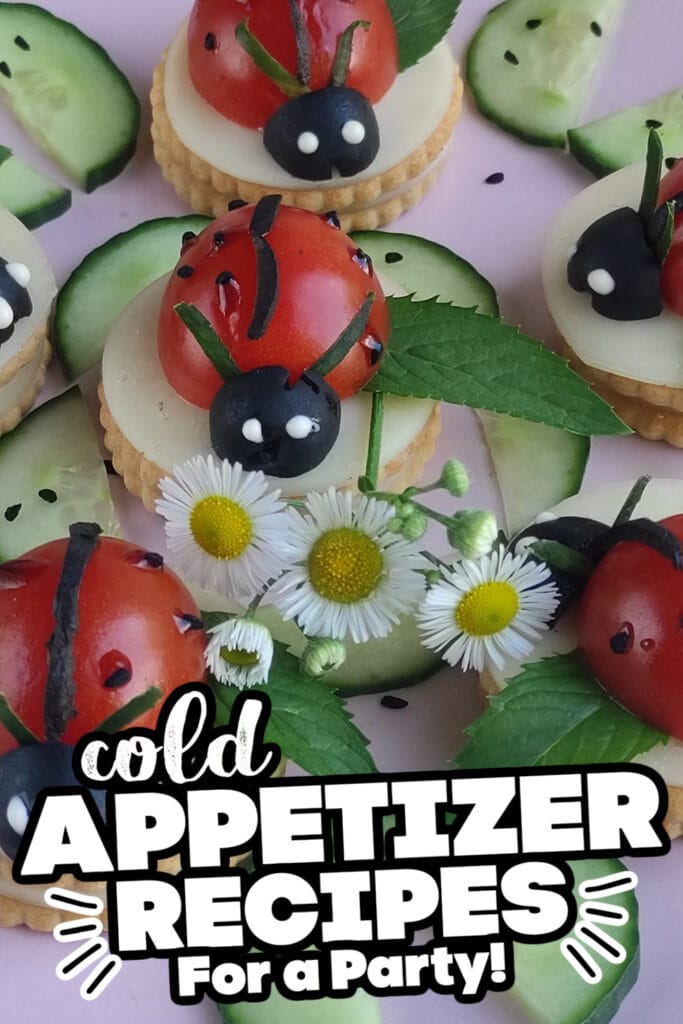 Cold Appetizer - Ladybug Appetizers
