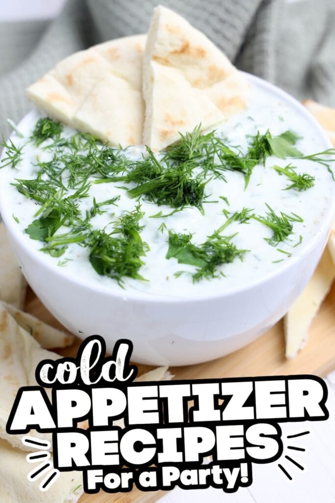 cold appetizer - Tzatziki Dip
