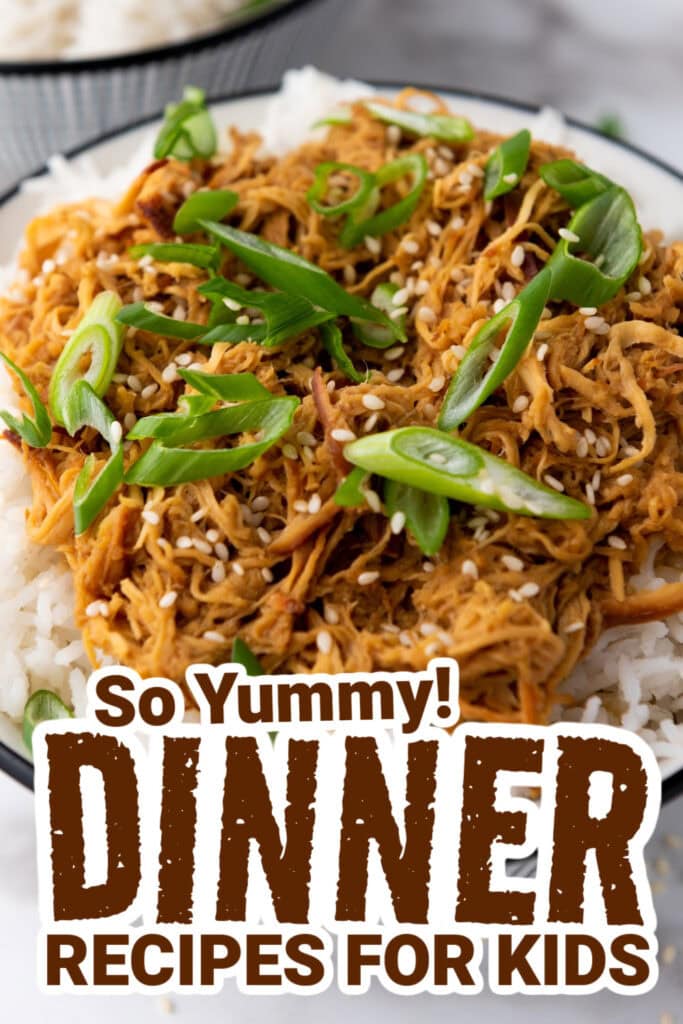 dinner recipes for kids - Crockpot Soy Honey Garlic Chicken copy