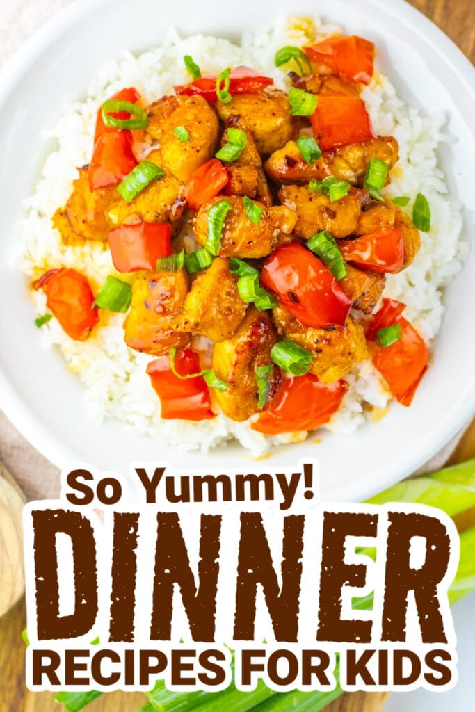 dinner recipes for kids - Honey Pepper Chicken with Rice copy