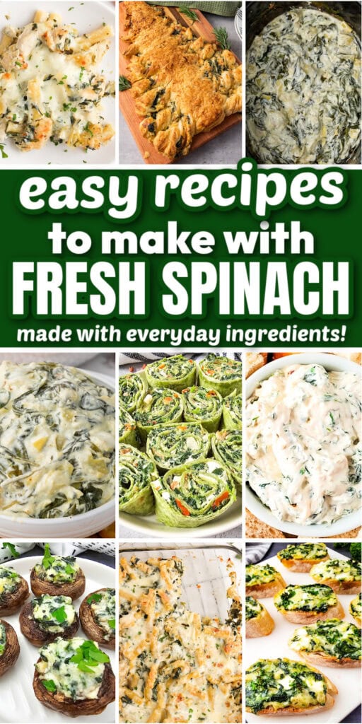 fresh spinach recipes