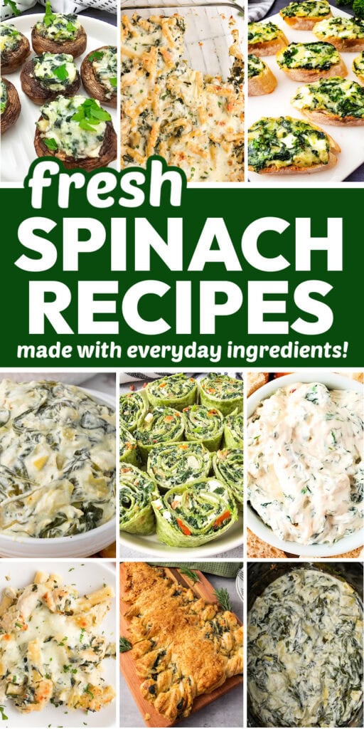 fresh spinach recipes