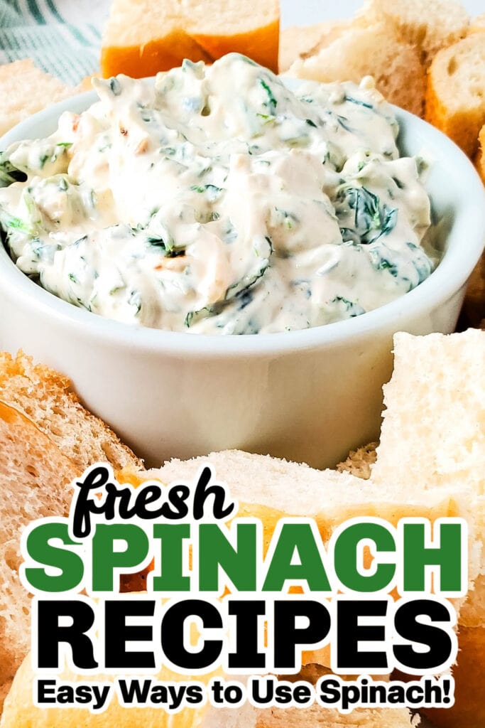 fresh spinach recipes - Creamy Spinach Dip copy