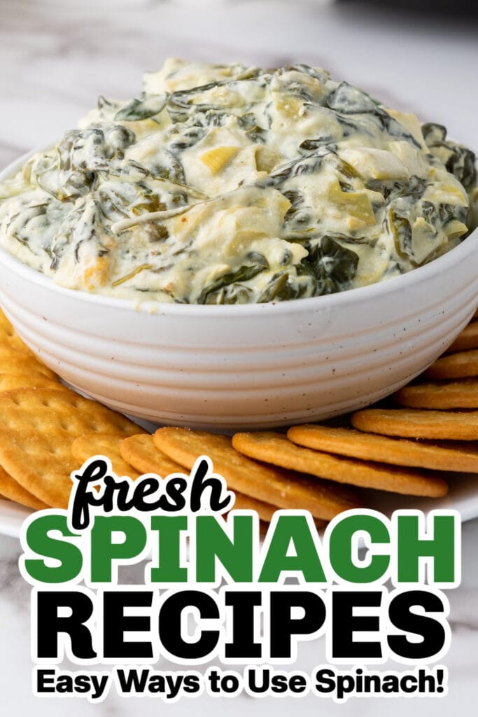 fresh spinach recipes - Slow Cooker Spinach Artichoke Dip copy