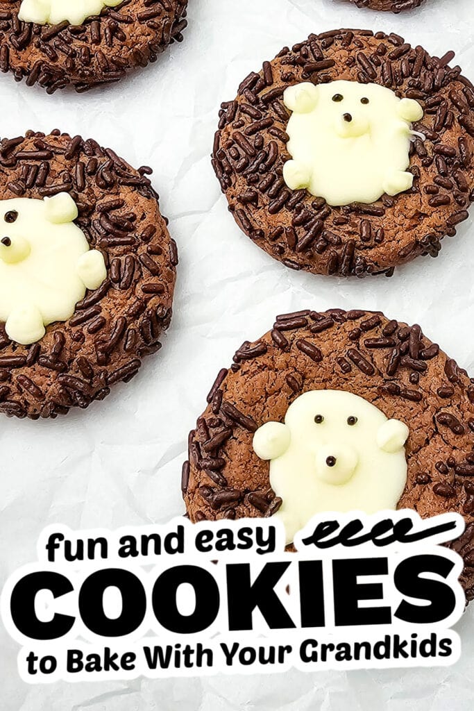 fun cookies for grandkids - chocolate hedgehoh
