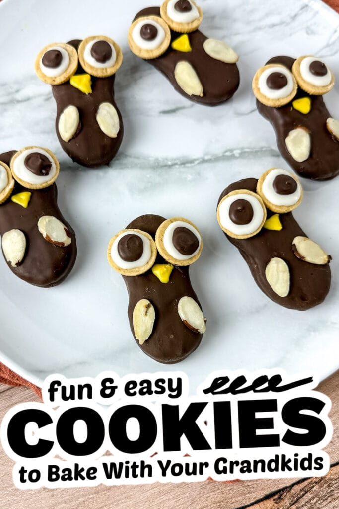 fun cookies for grandkids - nutter butter owl cookies