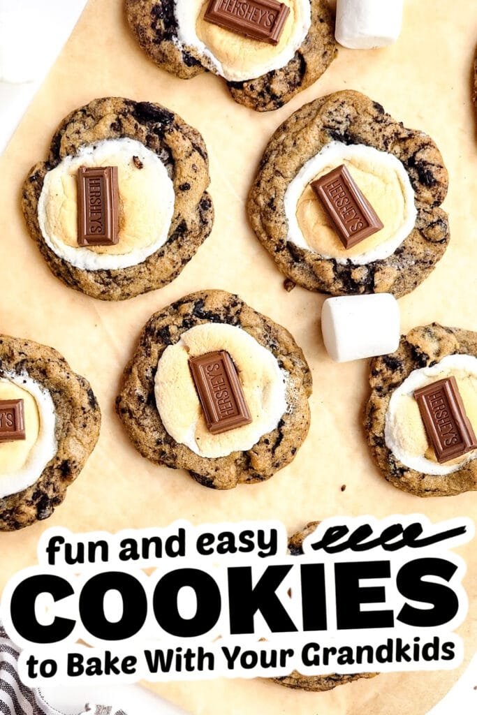 fun cookies for grandkids - oreo s'mores cookies