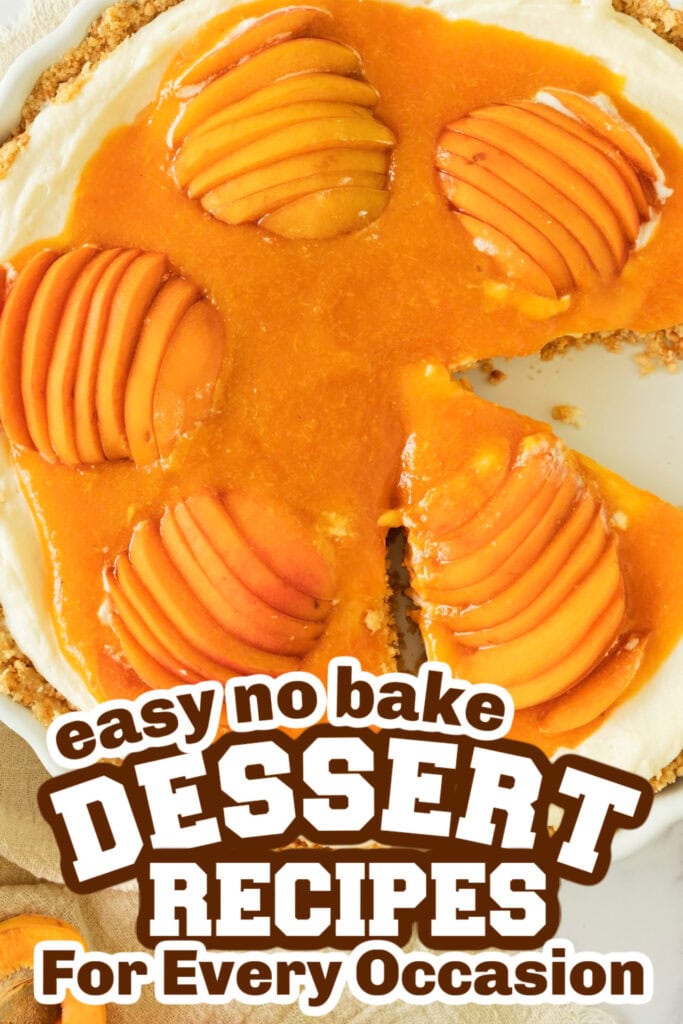 no bake desserts - Fresh Apricot Cheesecake Tart copy