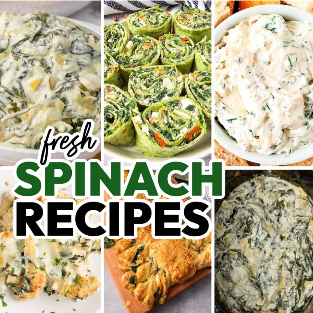 spinach recipes featured image