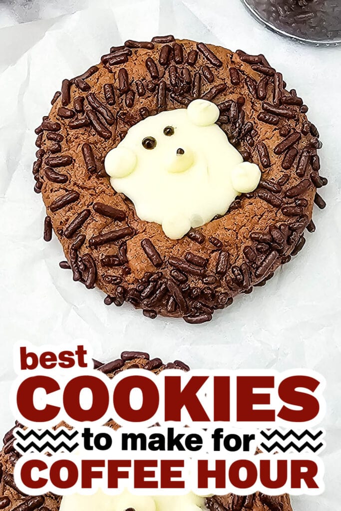 cookies for coffee hour - Chocolate Cake Mix Hedgehog Cookies copy