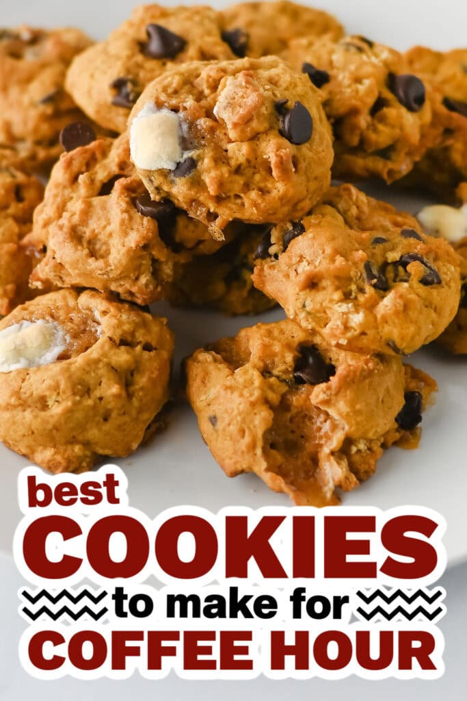 cookies for coffee hour - Soft Pumpkin S’mores Cookies copy