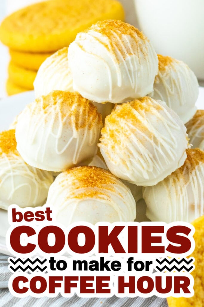 cookies for coffee hour - Soft Snickerdoodle Truffles copy