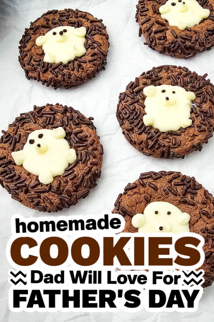 cookies for father's day - Chocolate Cake Mix Hedgehog Cookies