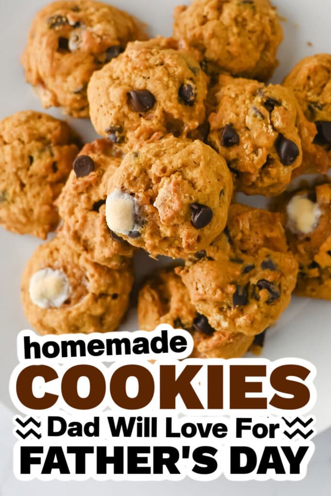 cookies for father's day - Soft Pumpkin S’mores Cookies