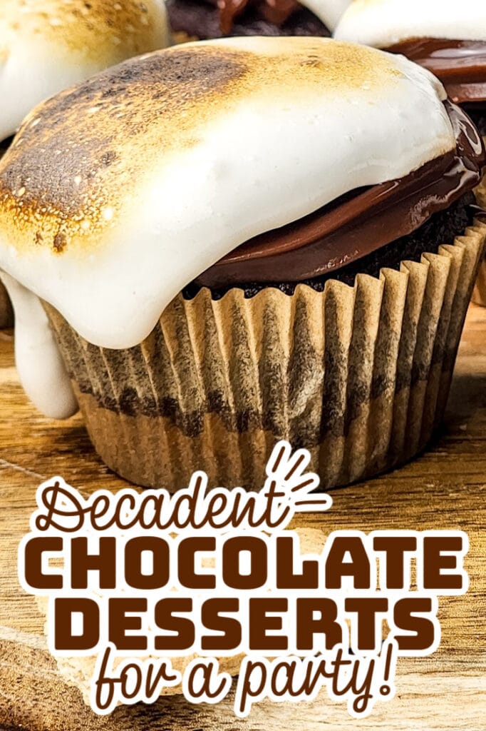 decadent chocolate desserts - S’mores Chocolate Cupcakes