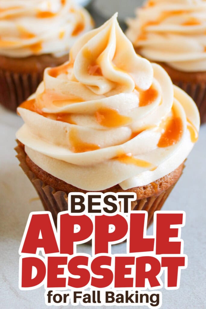 Apple Dessert Recipes-Apple Spice Cupcakes