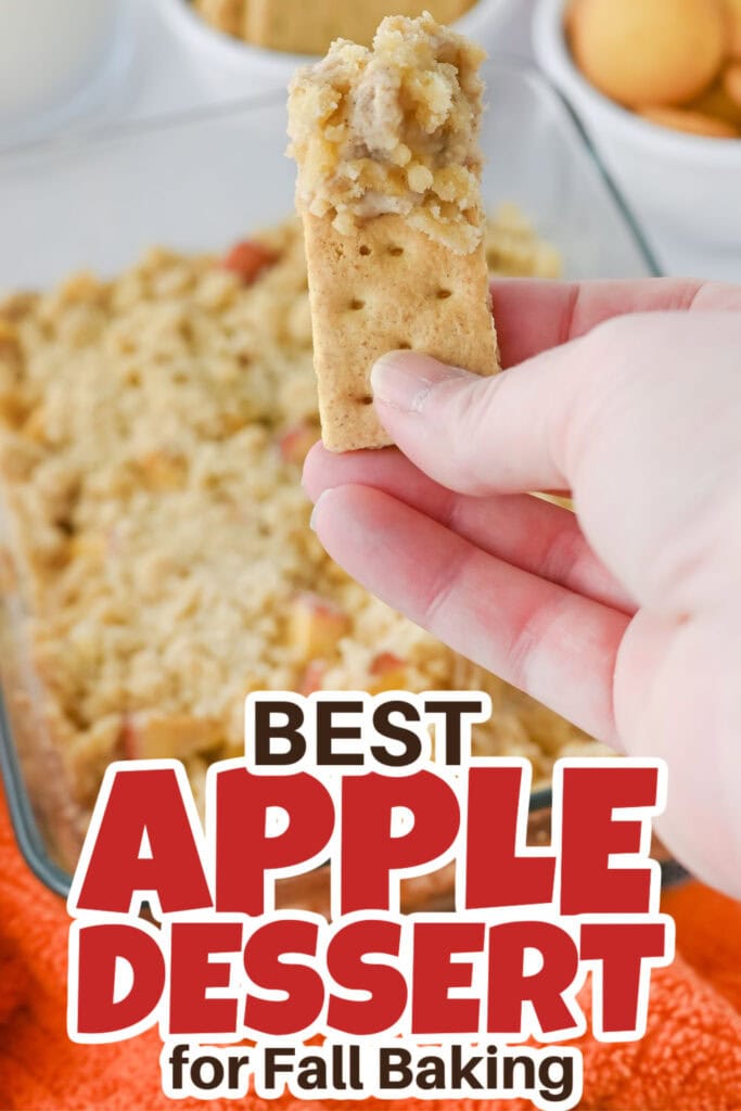 Apple Dessert Recipes-Baked Apple Pie Dip