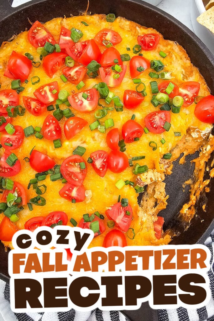 Fall Appetizers-Savory-Cheesy Texas Trash Dip in a Skillet