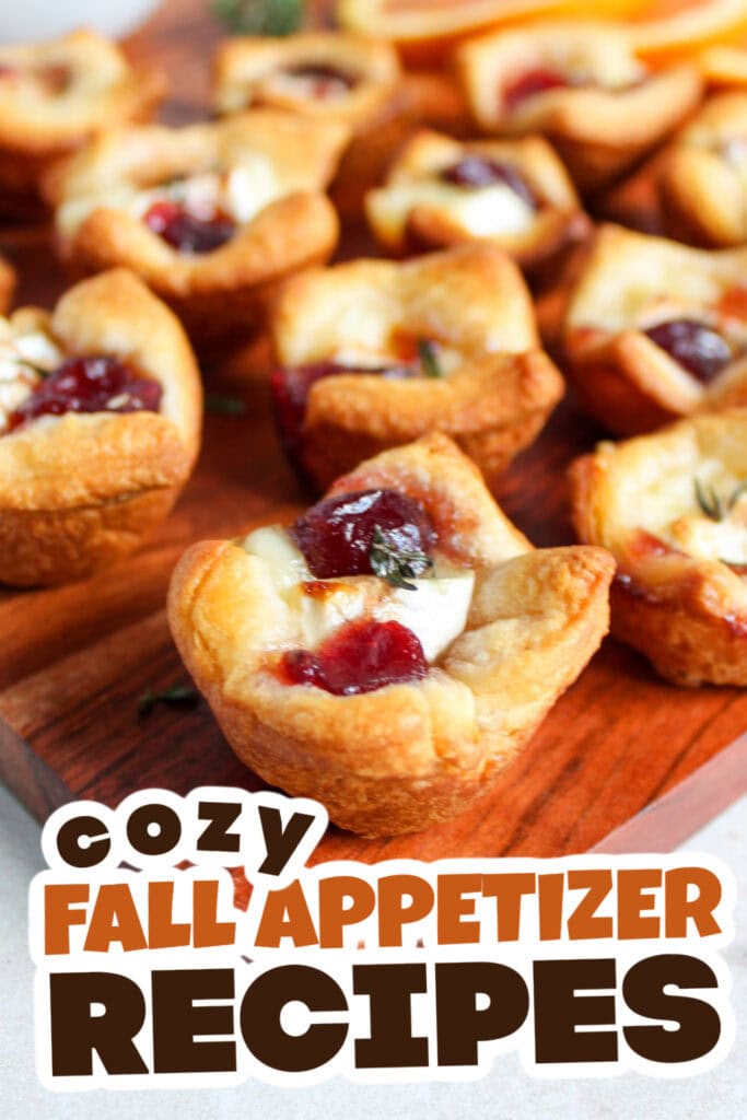 Fall Appetizers-Savory-Cranberry Brie Bites