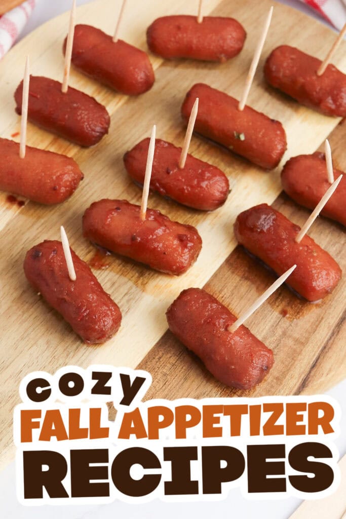 Fall Appetizers-Savory-Cranberry Cocktail Sausages