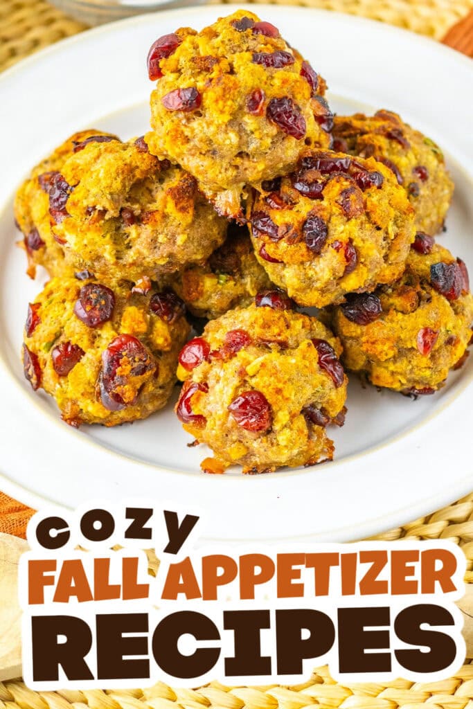 Fall Appetizers-Savory-Sweet Cranberry Turkey Stuffing Balls