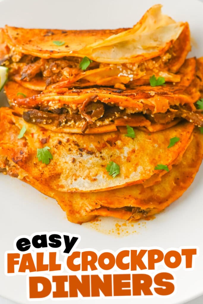 Fall Crockpot Dinner-Crockpot Birria Tacos