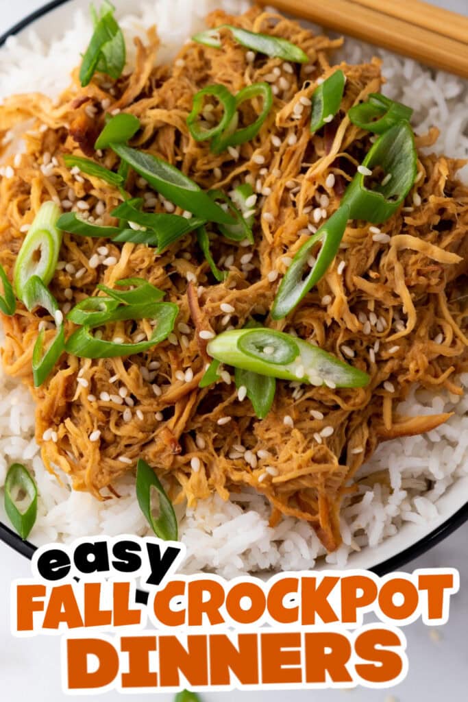 Fall Crockpot Dinner-Crockpot Soy Honey Garlic Chicken