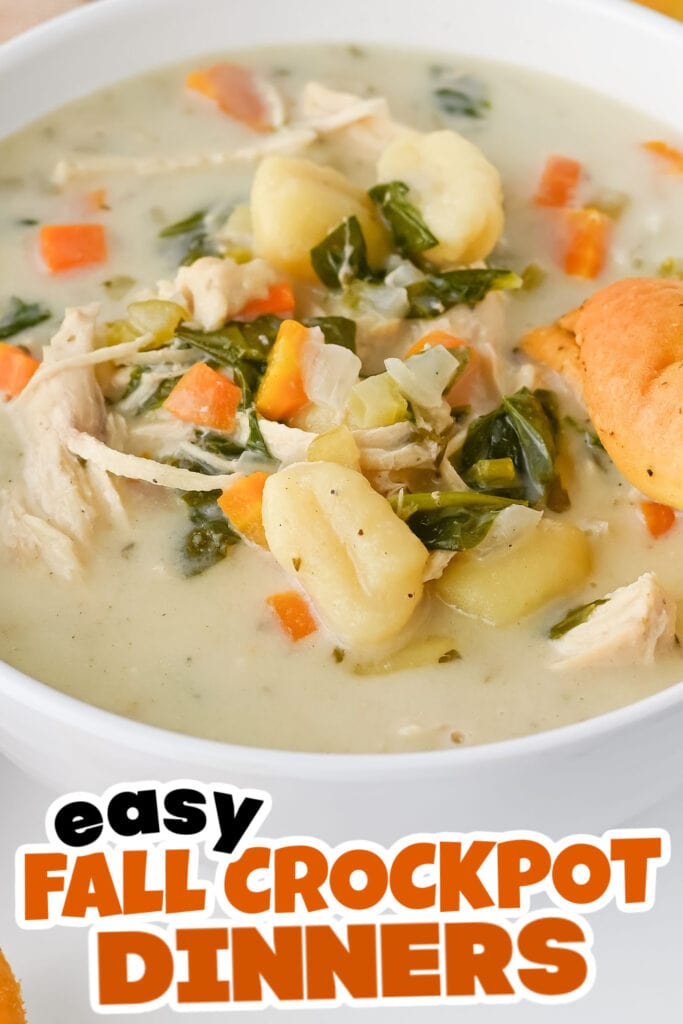 Fall Crockpot Dinner-Crockpot chicken gnocchi soup