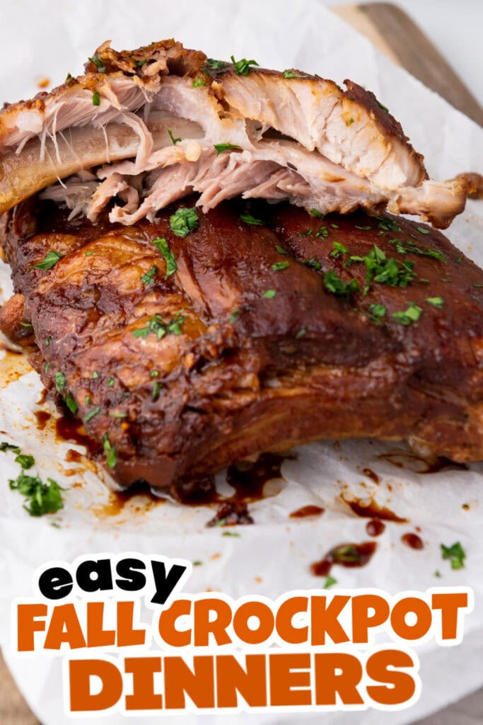 Fall Crockpot Dinner-Slow Cooker Honey Garlic Soy Spareribs