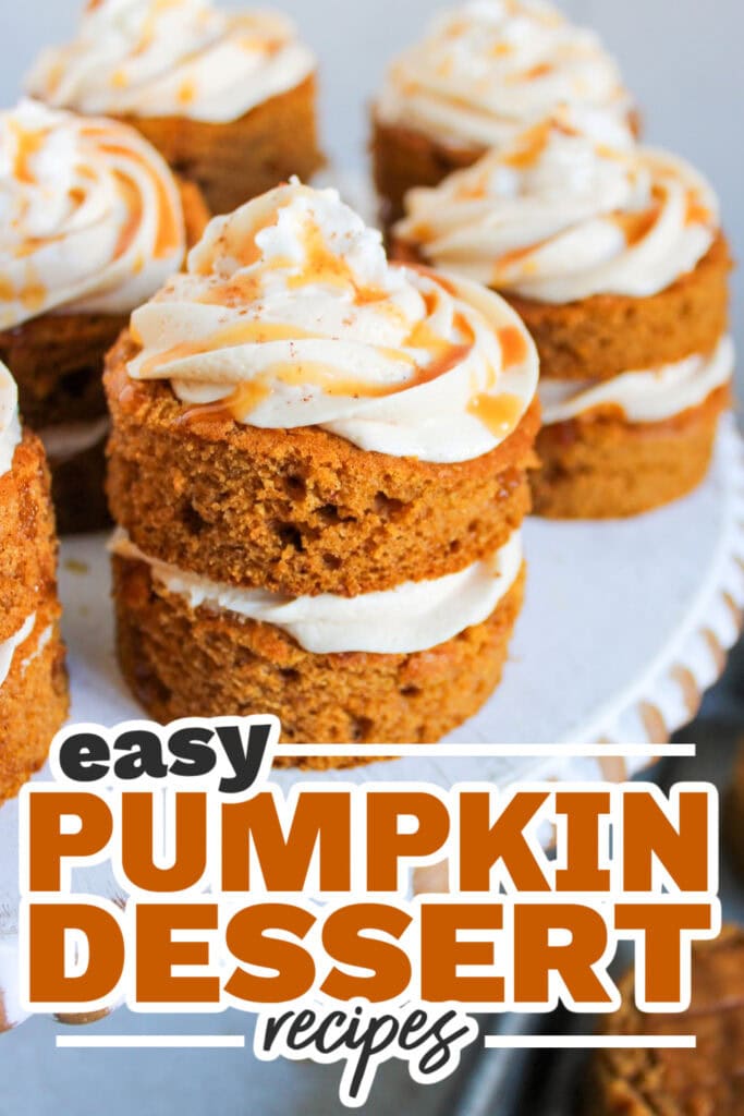 Pumpkin Dessert Recipes-Individual Mini Pumpkin Cakes