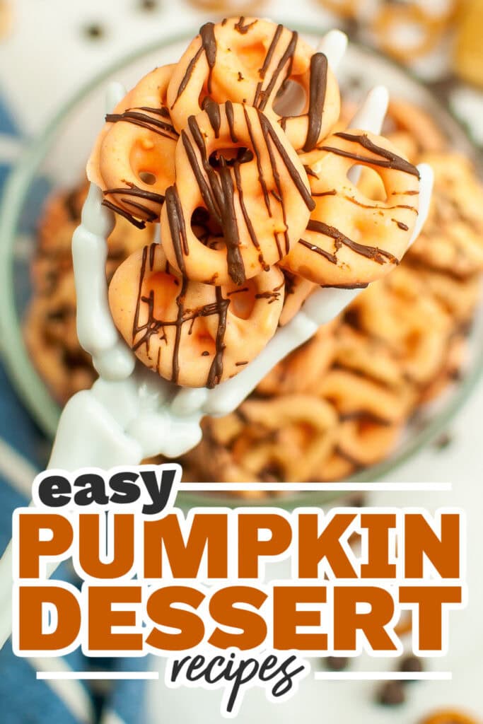 Pumpkin Dessert Recipes-Pumpkin Spice Chocolate Dipped Pretzels