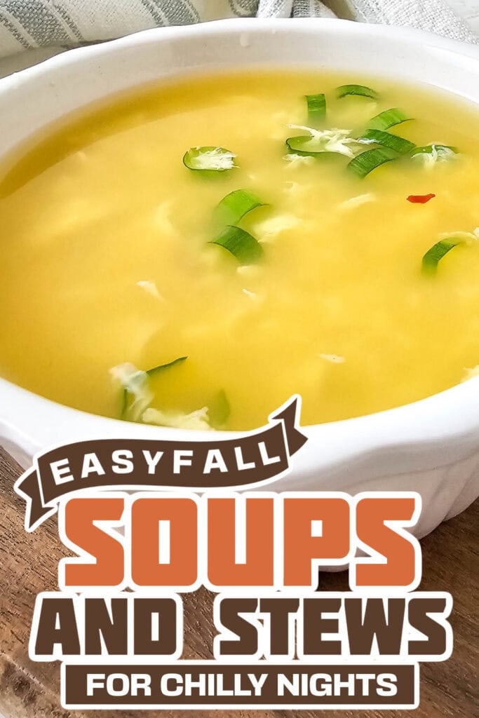 fall soups and stews -Homemade Egg Drop Soup copy