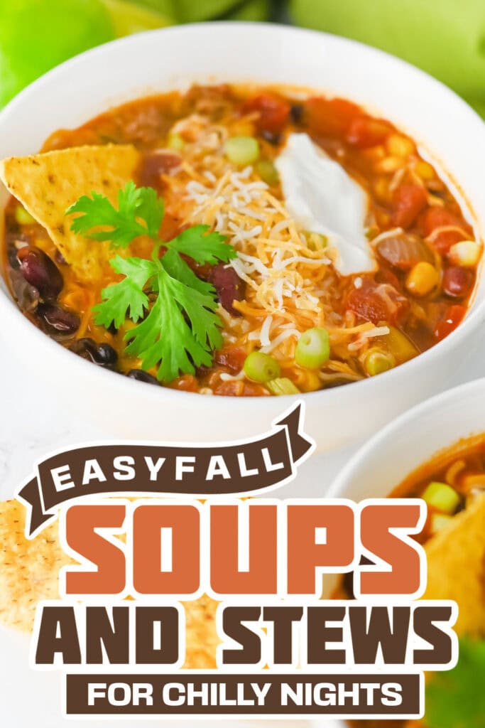 fall soups and stews -One-Pot Beef Taco Soup with Beans copy