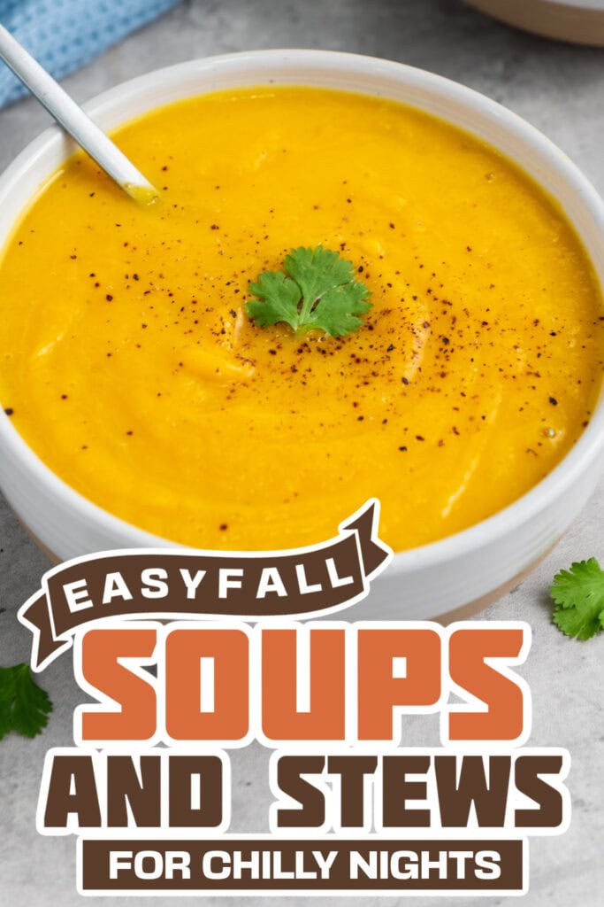fall soups and stews -Slow Cooker Butternut Squash Soup copy